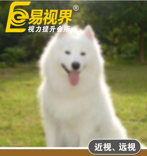 不一樣的眼病，不一樣的世界