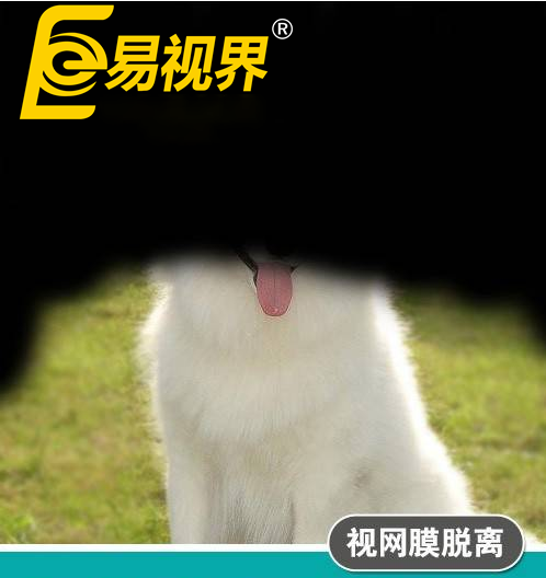 不一樣的眼病，不一
                </div>
                <div   id=